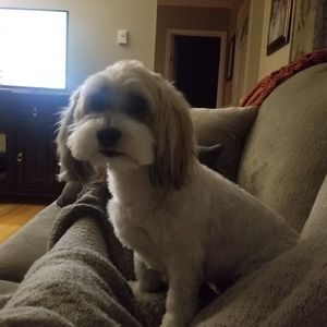 Meet your Posher, Krista